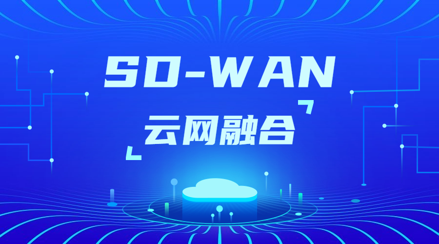 SD-WAN組網(wǎng)支持的方式 SD-WAN組網(wǎng)支持的方式