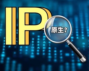 1700732564894669.jpg 原生IP.jpg