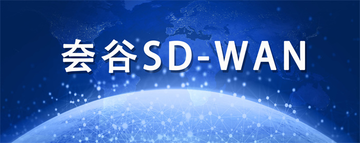 SD-WAN廠商 SD-WAN廠商