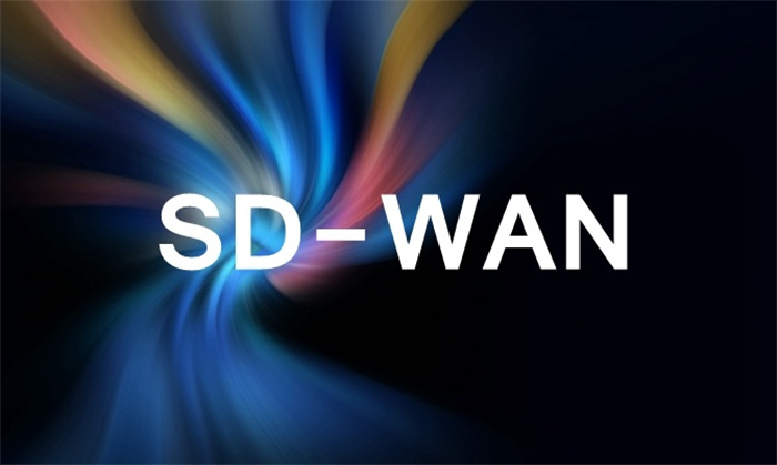 國內哪家SD-WAN技術廠家好