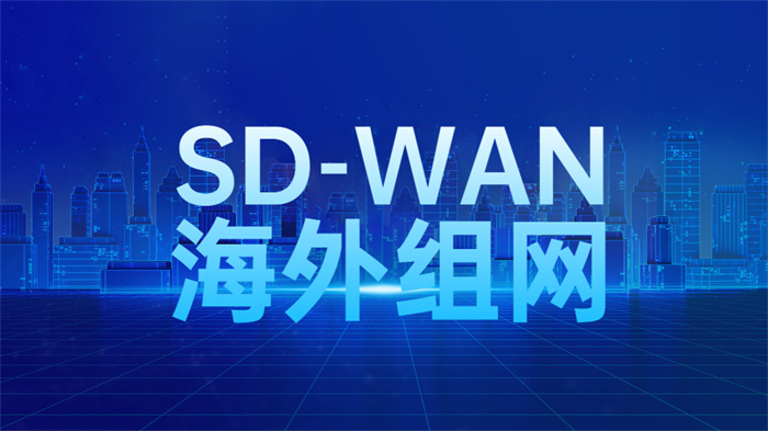 跨境sdwan組網 跨境sdwan組網