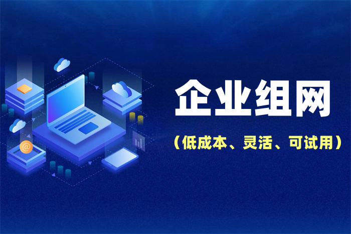 sd-wan組網方案多少錢 sd-wan組網方案多少錢