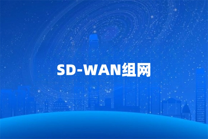 如何通過sd-wan網(wǎng)絡(luò)進行組網(wǎng)