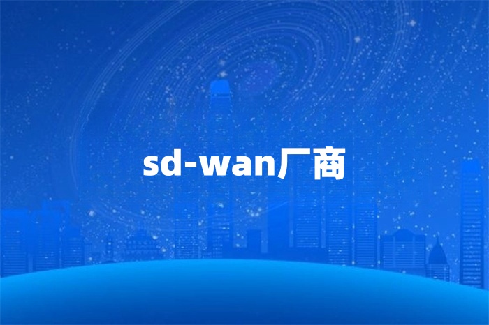 提供sd-wan的商家 提供sd-wan的商家