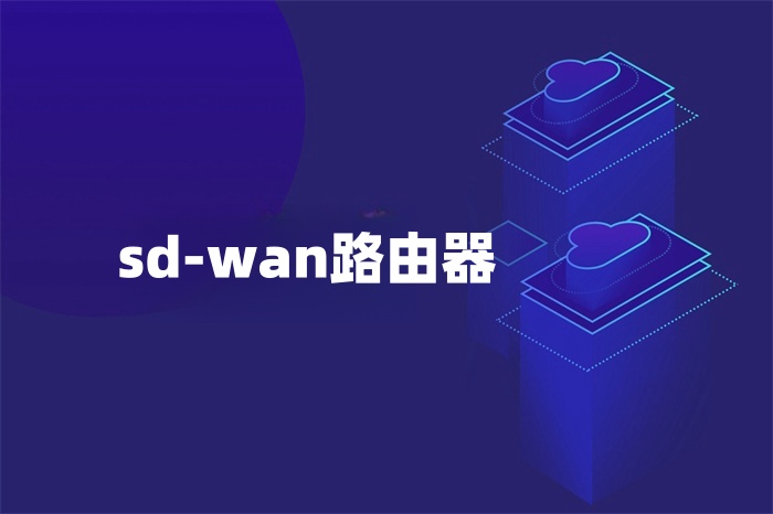 sd-wan路由器 sd-wan路由器