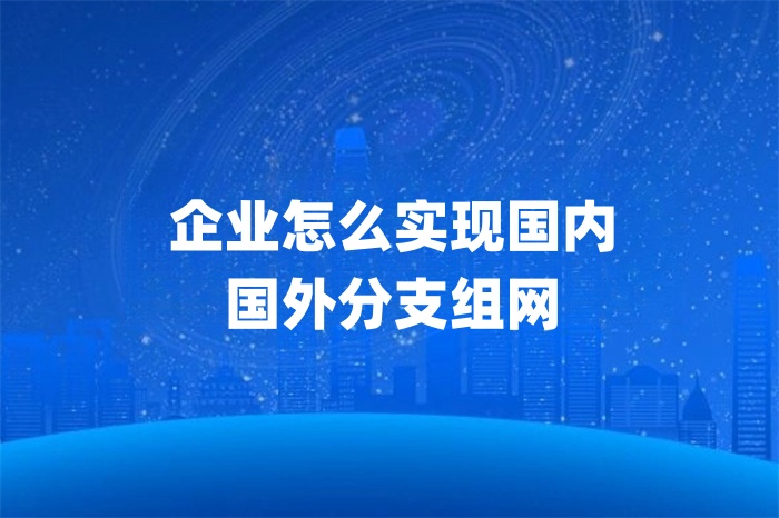 企業(yè)怎么實(shí)現(xiàn)國(guó)內(nèi)國(guó)外分支組網(wǎng) 企業(yè)怎么實(shí)現(xiàn)國(guó)內(nèi)國(guó)外分支組網(wǎng)