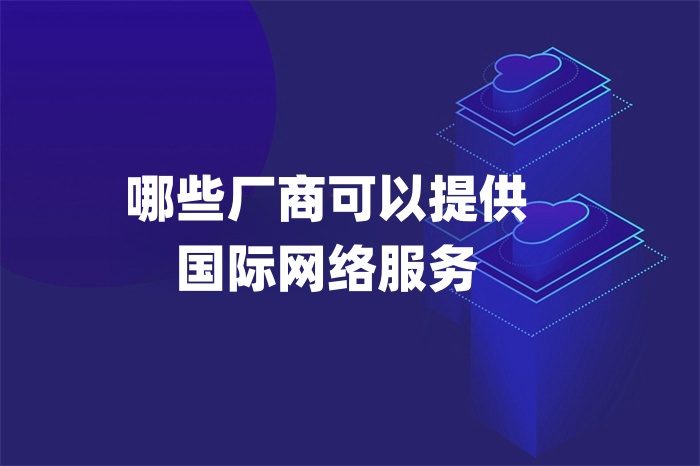 哪些廠商可以提供國際網絡服務 哪些廠商可以提供國際網絡服務