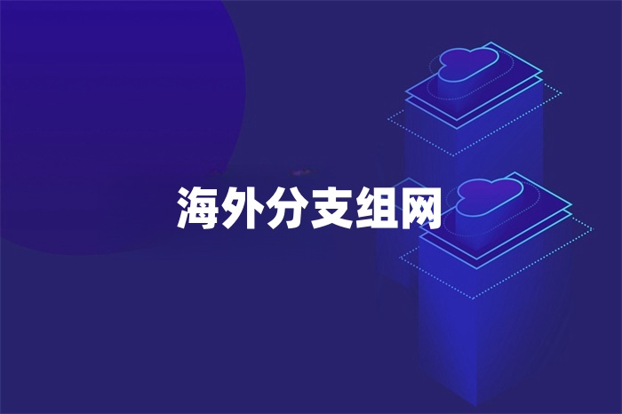 海外分支組網 海外分支組網