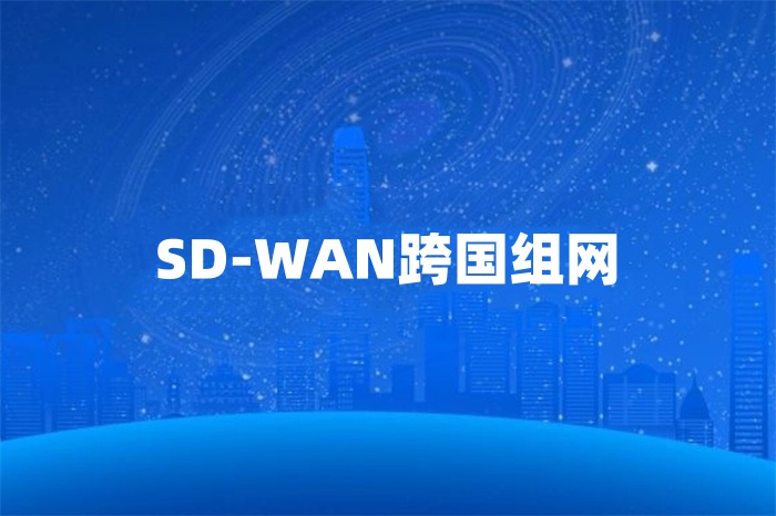 SD-WAN跨國(guó)組網(wǎng)