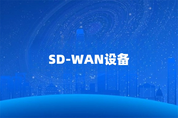 SD-WAN設備 SD-WAN設備