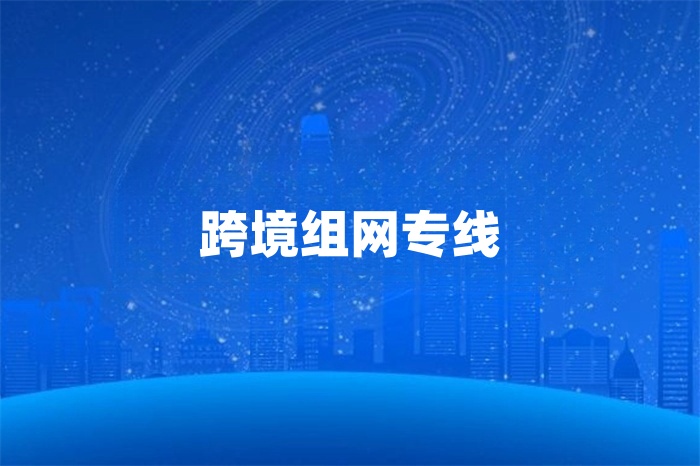 跨境組網(wǎng)專線 跨境組網(wǎng)專線