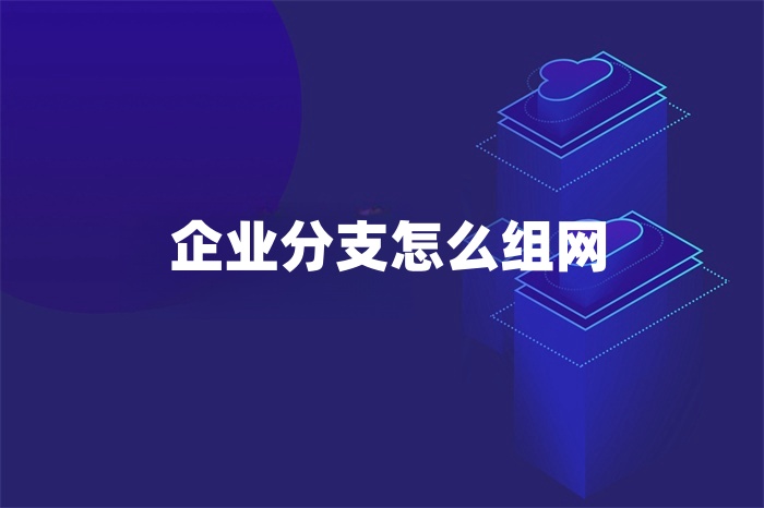 企業分支怎么組網 企業分支怎么組網