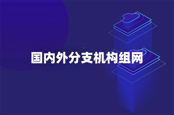 國內(nèi)外分支機(jī)構(gòu)組網(wǎng) 國內(nèi)外分支機(jī)構(gòu)組網(wǎng)