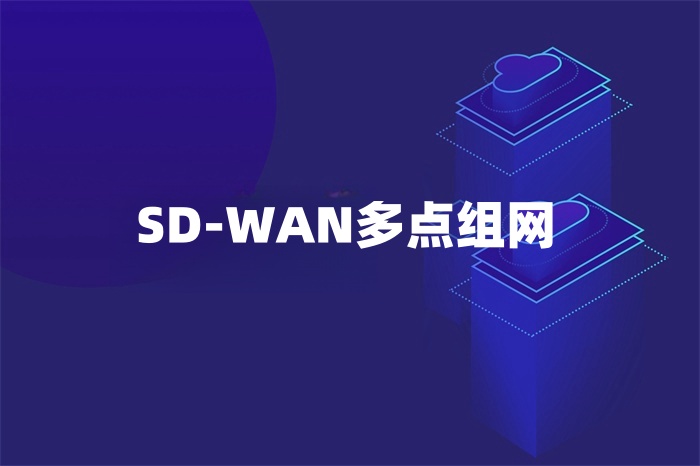 SD-WAN多點(diǎn)組網(wǎng)