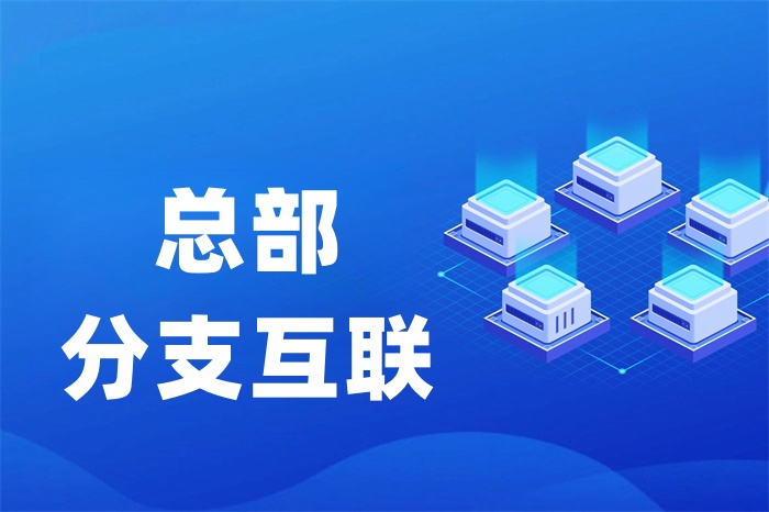 SD-WAN能不能實現(xiàn)異地組網(wǎng)