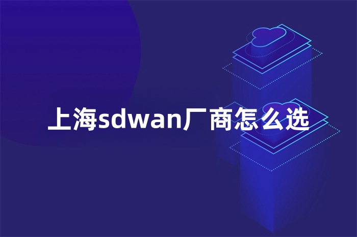 上海sdwan廠商怎么選 上海sdwan廠商怎么選