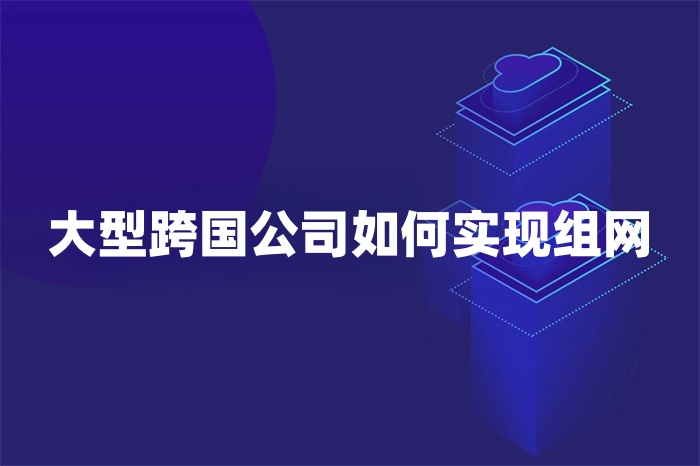 大型跨國公司如何實現組網