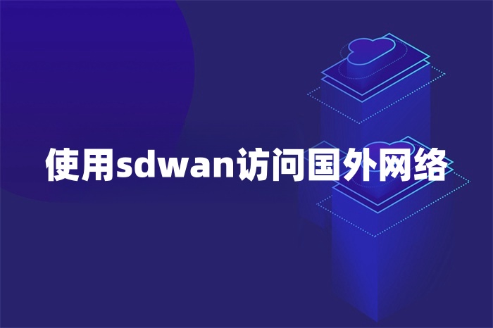 使用sdwan訪問國外網絡