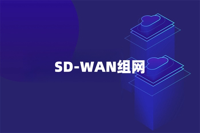 SD-WAN組網(wǎng) SD-WAN組網(wǎng)
