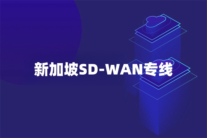 新加坡SD-WAN專線 新加坡SD-WAN專線
