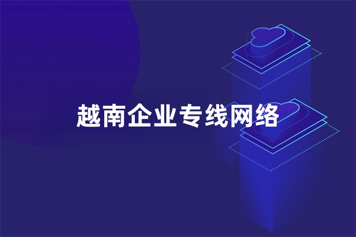 越南企業專線網絡