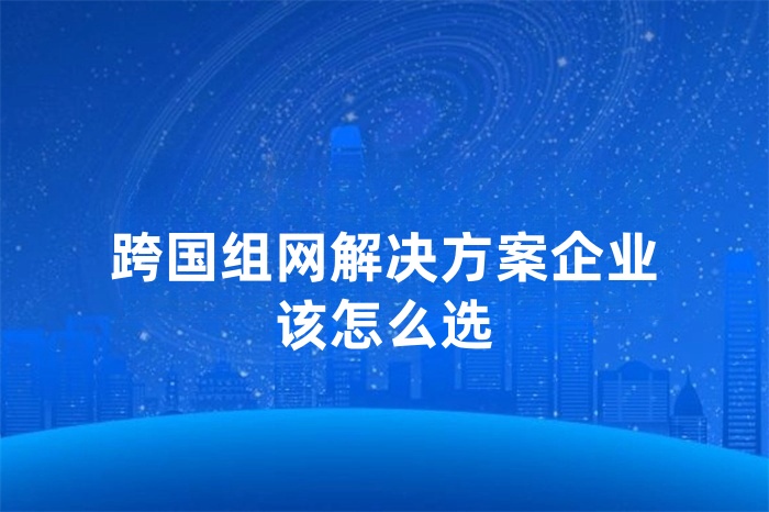 跨國(guó)組網(wǎng)解決方案企業(yè)該怎么選 跨國(guó)組網(wǎng)解決方案企業(yè)該怎么選