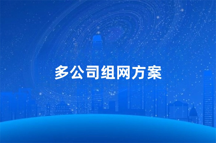 多公司組網(wǎng)方案 多公司組網(wǎng)方案