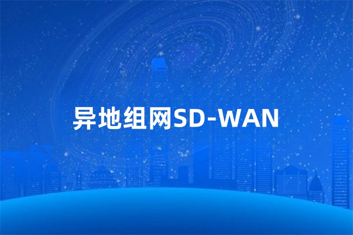異地組網SD-WAN 異地組網SD-WAN
