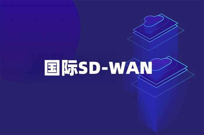 國際SD-WAN