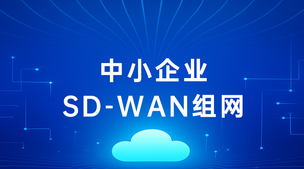 1752214781238643.png 中小企業SD-WAN組網.png